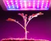 رشد گیاه زیر نور پروژکتور