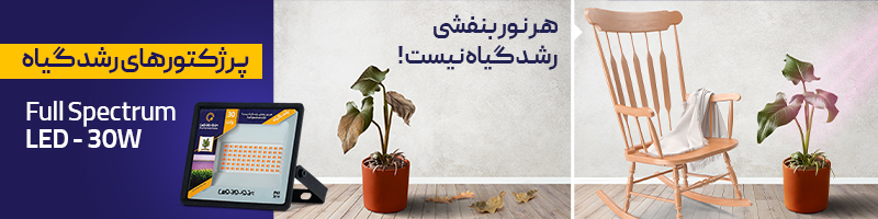 نمای مقایسه استفاده و عدم استفاده از پروژکتور رشد گیاه